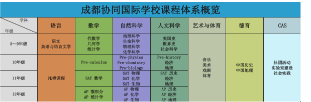 截图20190121164826