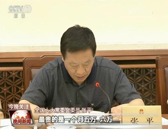 &nbsp;全国人大常委会委员 张平